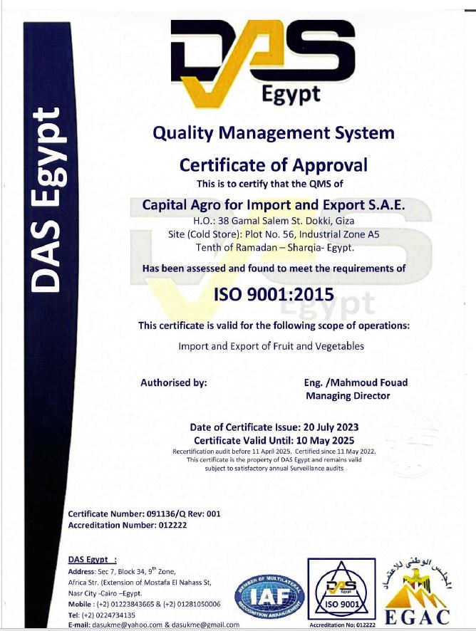 ISO 9001 certificate
