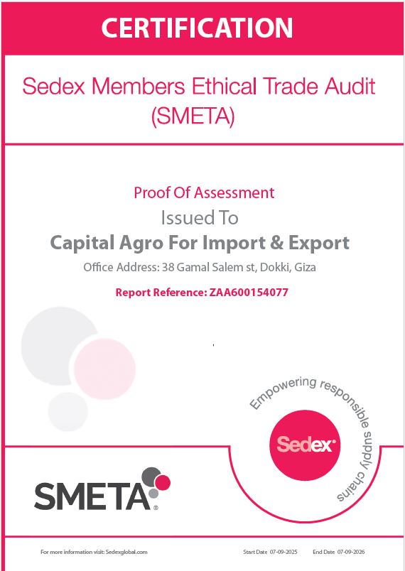 SMETA certificate