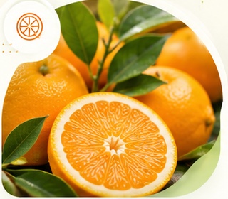 Citrus export product