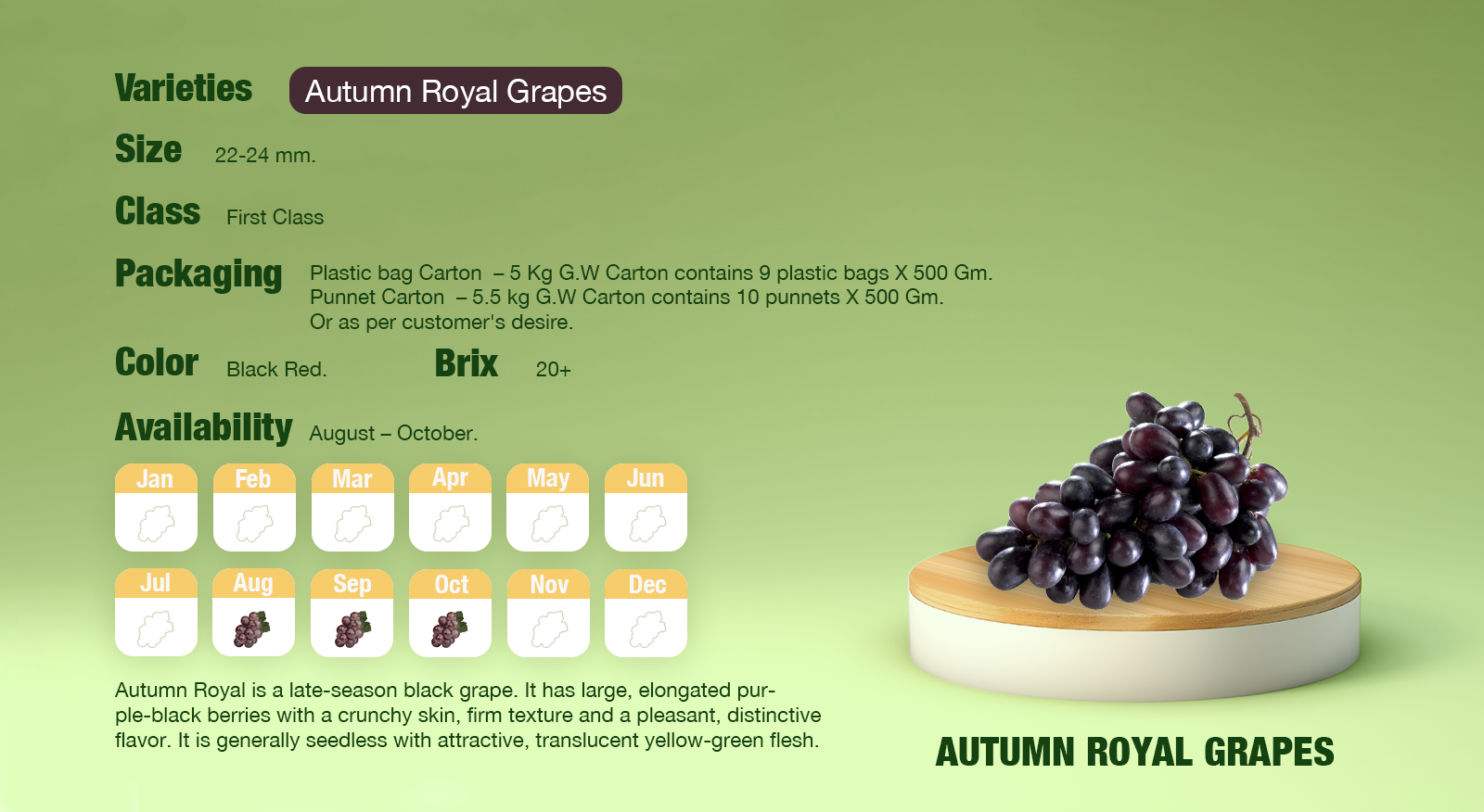 Autumn Royal Grapes ​Calendar