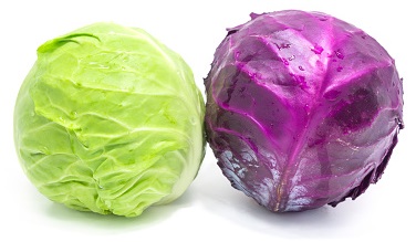 Green and Purple cabbage