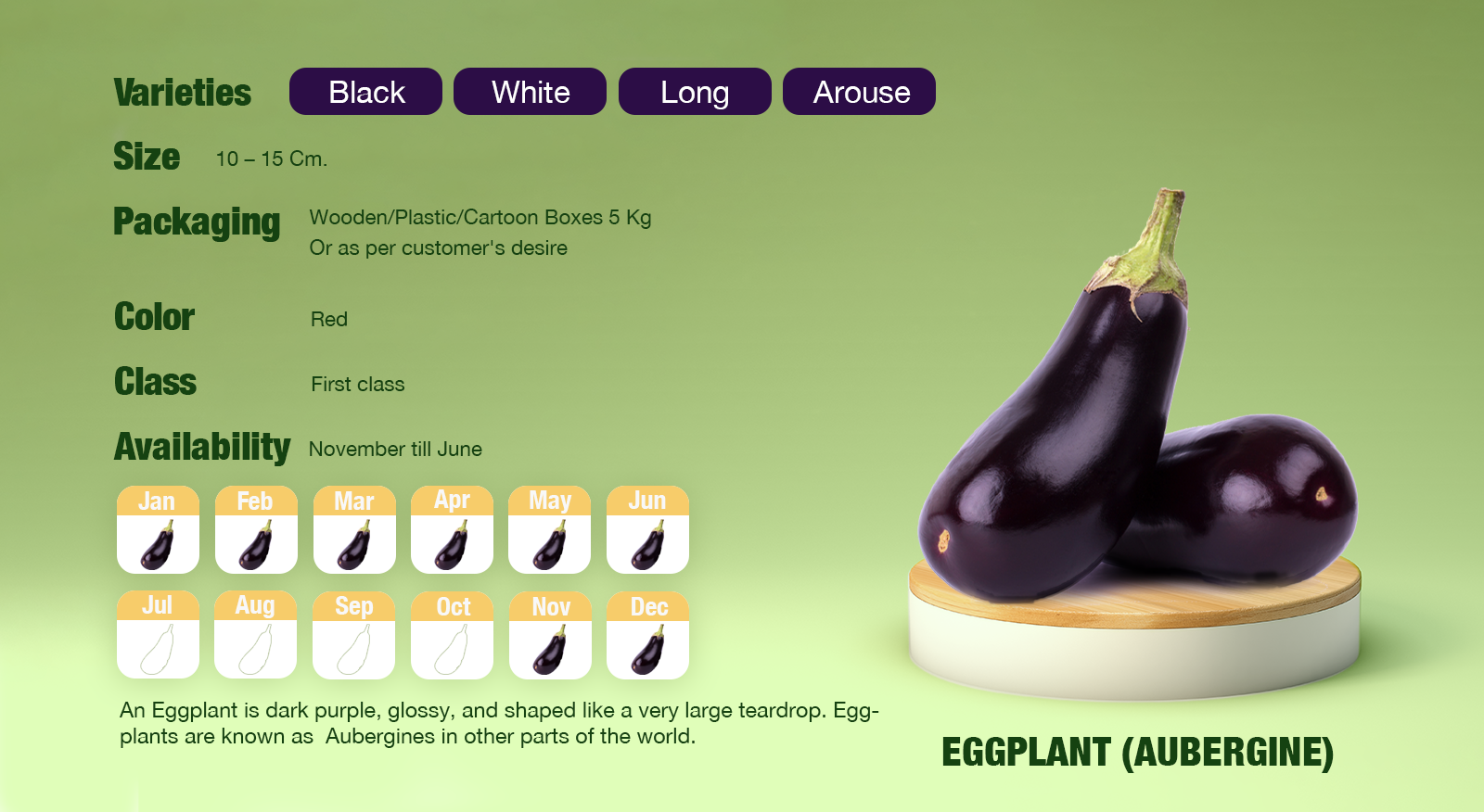 Eggplant-Aubergine Calendar