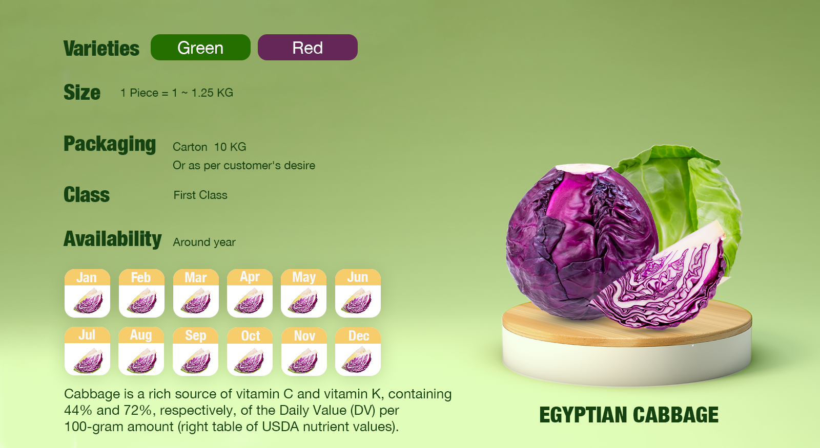 Egyptian-Cabbage Calendar