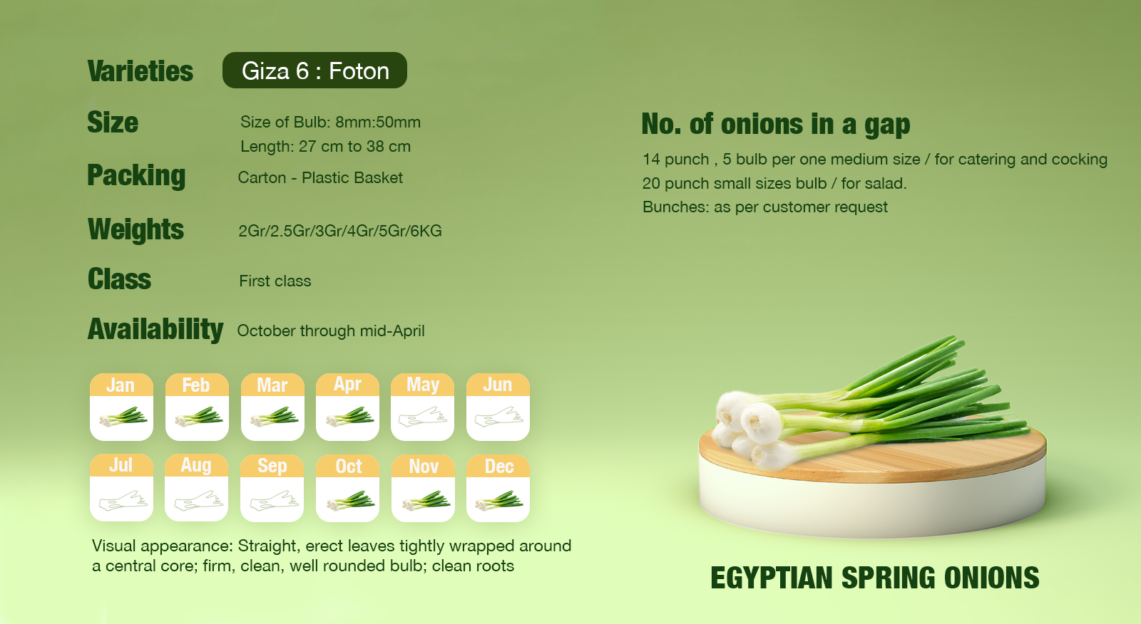 Egyptian Spring Onion​ Calendar