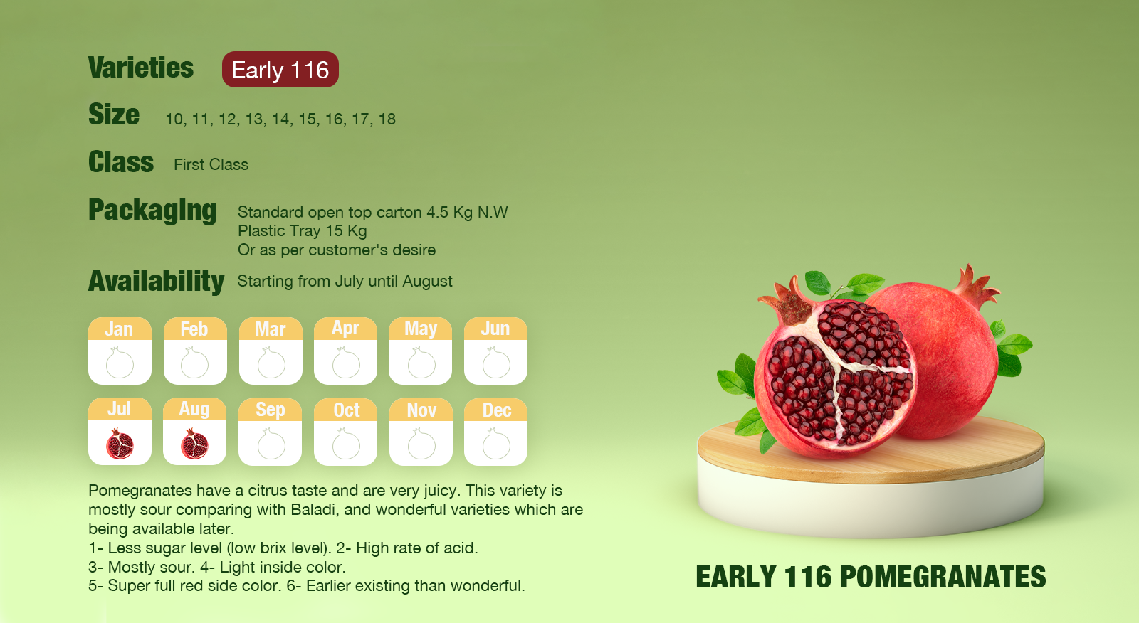 Early 116 Pomegranates Calendar