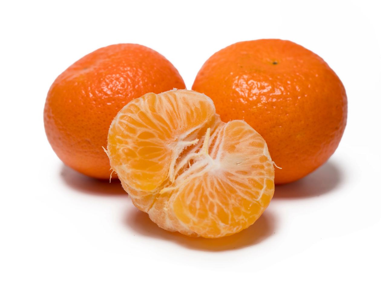 Egyptian Mandarins “Fremont” Capital Agro
