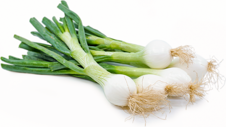 Egyptian Spring Onions