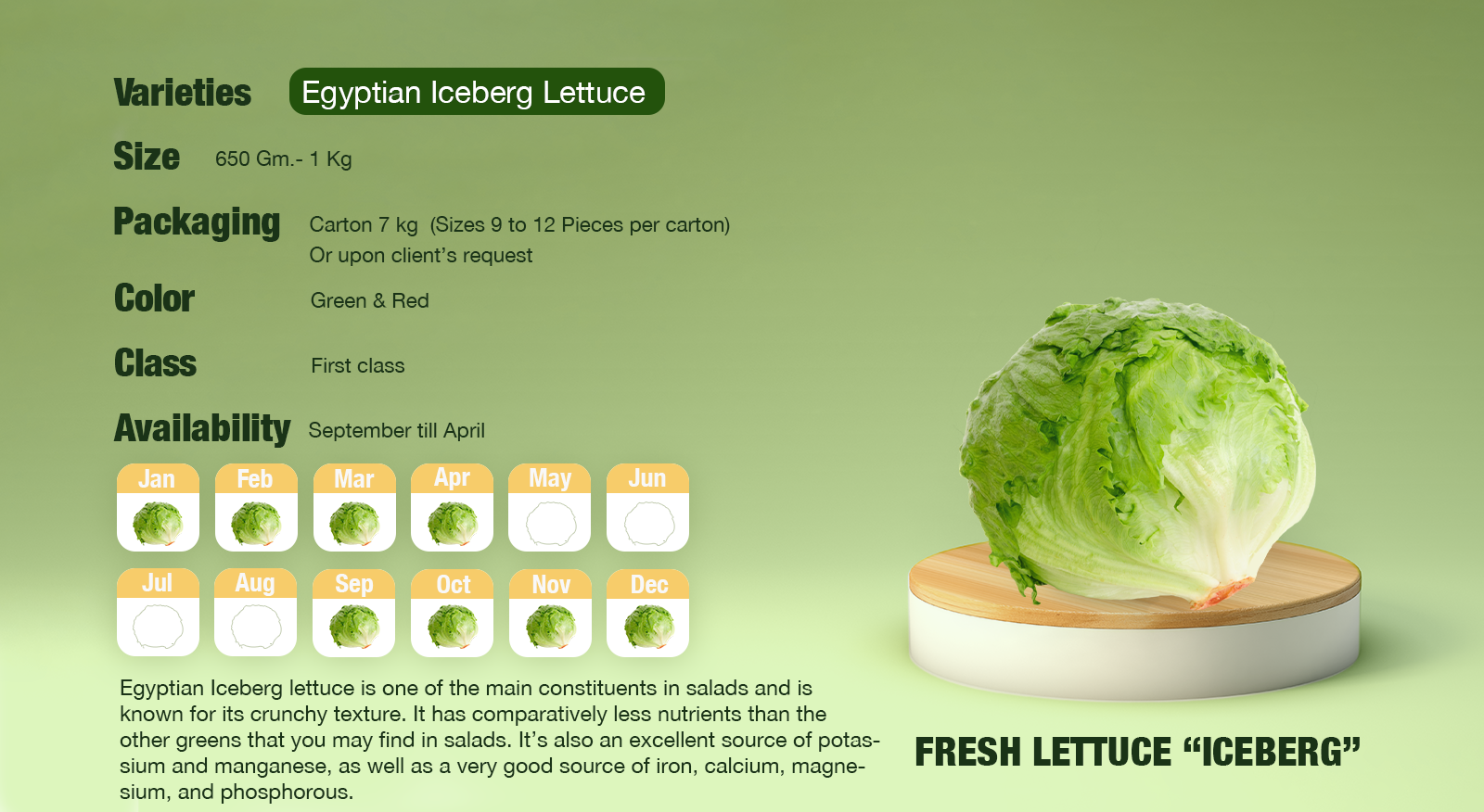 Fresh-Lettuce-Iceberg Calendar