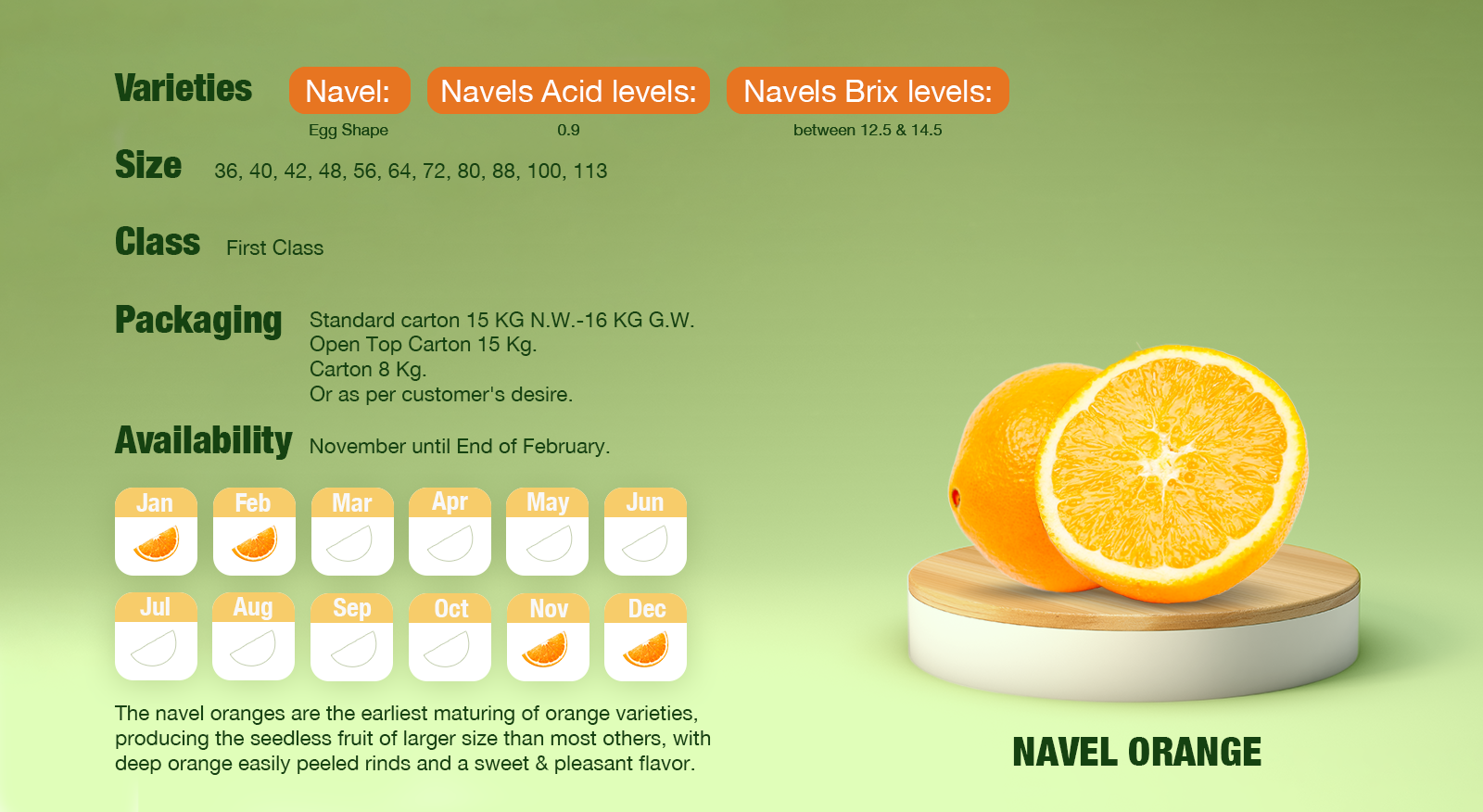Navel Orange Calendar