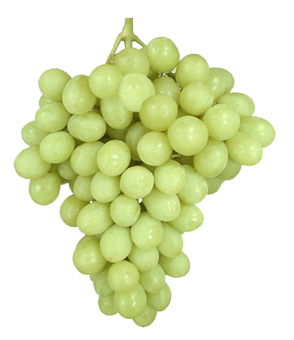 Superior Grape