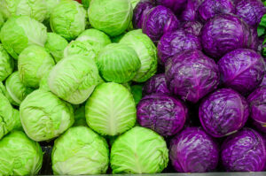 Green and Purple cabbage