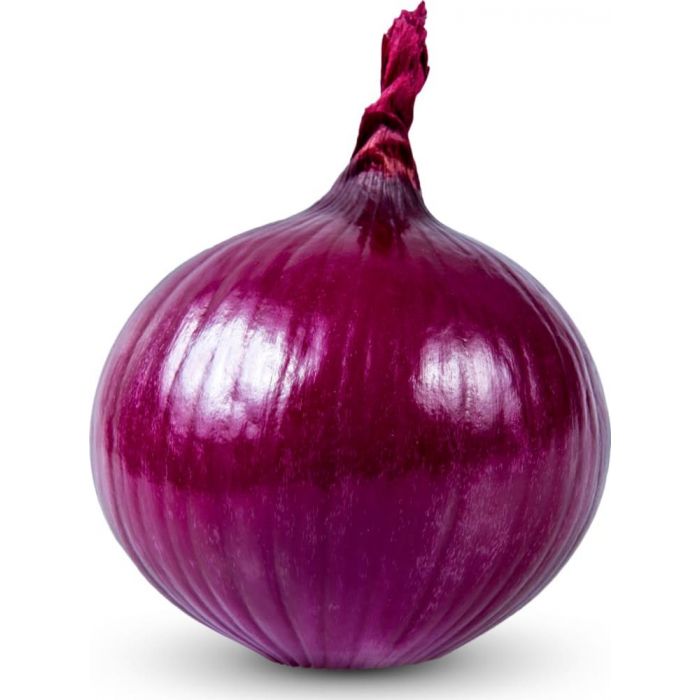 Onion - Capital Agro